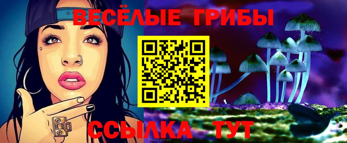 Псилоцибиновые грибы прущие грибы  Вход с VPN  Лабинск  Псилоцибиновые грибы Cubensis 